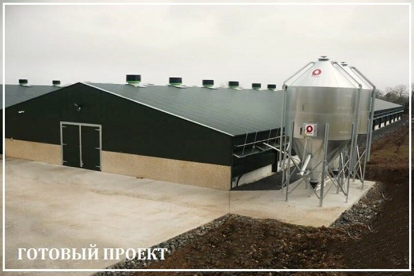 Этапы возведения птицефабрики от завода ВелесТент-рхв